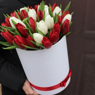 Тюльпаны в коробке 35 шт. (красный и белый) 46095 Тюльпаны в коробке 35 шт. (красный и белый) 46095