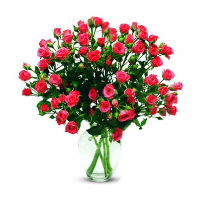 Роза кустовая Роза кустовая