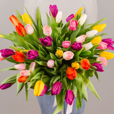 Тюльпаны 51 шт. МИКС 7336 Тюльпаны 51 шт. МИКС 7336