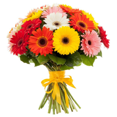 Букет из 25 Гербер микс 7355 Букет из 25 Гербер микс 7355