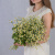 Букет из мелких кустовых ромашек танацетумов арт. 50581
