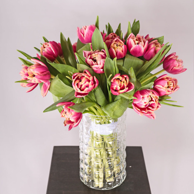 Букет из 25 пионовидных тюльпанов Коламбус под ленту 46176 Букет из 25 пионовидных тюльпанов Коламбус под ленту 46176