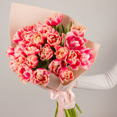 Букет из 25 пионовидных тюльпанов колумбус 46327 Букет из 25 пионовидных тюльпанов колумбус 46327