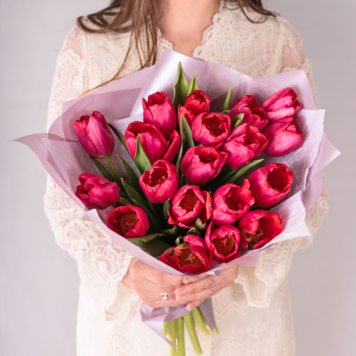 Букет из 19 малиновых тюльпанов в упаковке 59900 Букет из 19 малиновых тюльпанов в упаковке 59900