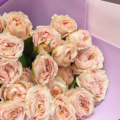 Букет из кустовых пионовидных роз персикого цвета N 45353 Букет из кустовых пионовидных роз персикого цвета N 45353