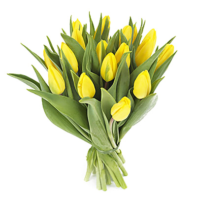 Букет из 15 желтых тюльпанов 28774 Букет из 15 желтых тюльпанов 28774