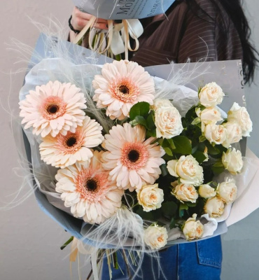 Букет "Амели стандарт. Размер L" из кустовой розы и гербер 27788 Букет "Амели стандарт. Размер L" из кустовой розы и гербер 27788