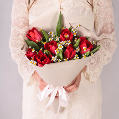 Небольшой букет из красных тюльпанов с ромашками 46336 Небольшой букет из красных тюльпанов с ромашками 46336