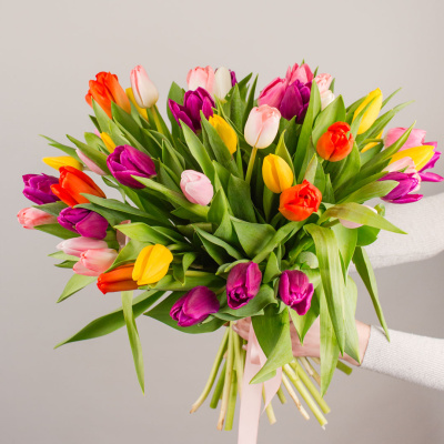 Тюльпаны 51 шт. МИКС 7336 Тюльпаны 51 шт. МИКС 7336