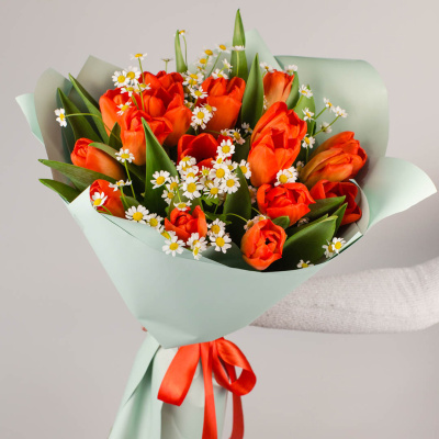 Букет из 19 алых тюльпанов с ромашками 46334 Букет из 19 алых тюльпанов с ромашками 46334