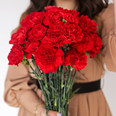 Гвоздика красная