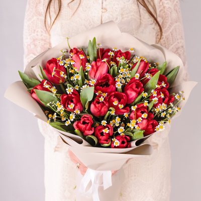 Букет из 19 красных тюльпанов с ромашками 46334 Букет из 19 красных тюльпанов с ромашками 46334