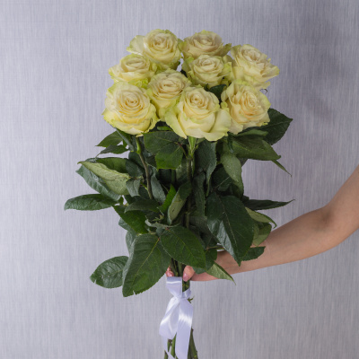 Букет из 9 крупных Белых роз Эквадор 60 см 36401 Букет из 9 крупных Белых роз Эквадор 60 см 36401