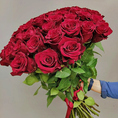 Букет из 51 Красной розы 60 см 7298 Букет из 51 Красной розы 60 см 7298