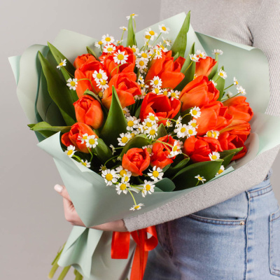 Букет из 19 алых тюльпанов с ромашками 46334 Букет из 19 алых тюльпанов с ромашками 46334