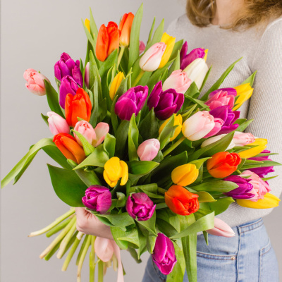Тюльпаны 51 шт. МИКС 7336 Тюльпаны 51 шт. МИКС 7336