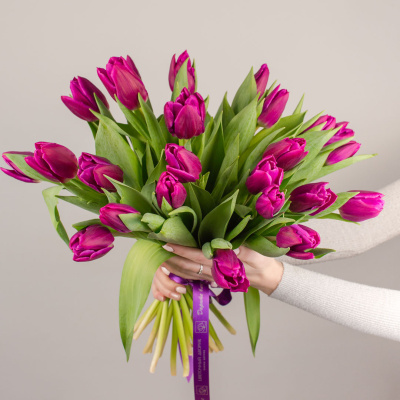 Букет из 25 Тюльпанов (фиолетовый) 7338 Букет из 25 Тюльпанов (фиолетовый) 7338