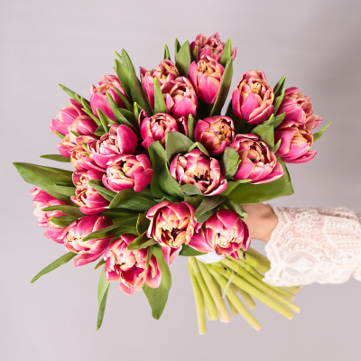 Букет из 25 пионовидных тюльпанов Коламбус под ленту 46176 Букет из 25 пионовидных тюльпанов Коламбус под ленту 46176