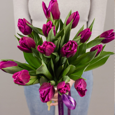 Букет из 15 малиновых тюльпанов 28774 Букет из 15 малиновых тюльпанов 28774