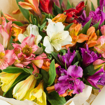 Букет из разноцветных альстромерий N 50398 Букет из разноцветных альстромерий N 50398