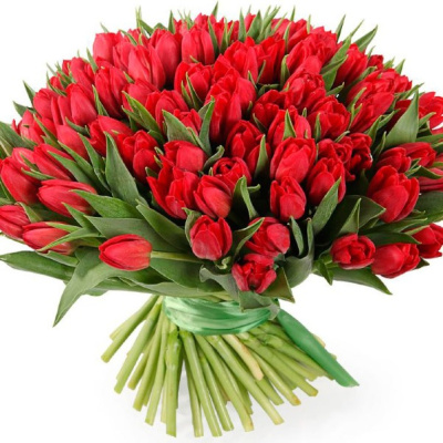 Букет из 101 красного тюльпана (без упаковки) 7335 Букет из 101 красного тюльпана (без упаковки) 7335
