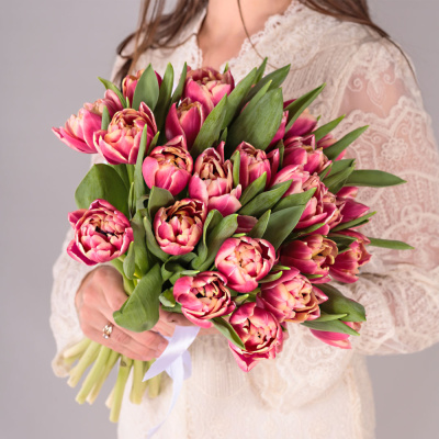 Букет из 25 пионовидных тюльпанов Коламбус под ленту 46176 Букет из 25 пионовидных тюльпанов Коламбус под ленту 46176