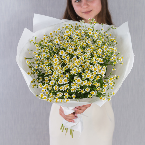 Круглый букет из ромашек танацетумов арт. 36303