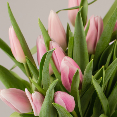 Тюльпаны розовые 15 шт. (без упаковки) 28774 Тюльпаны розовые 15 шт. (без упаковки) 28774