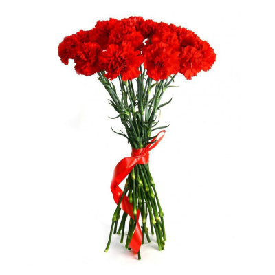Букет из 16 красных гвоздик Букет из 16 красных гвоздик