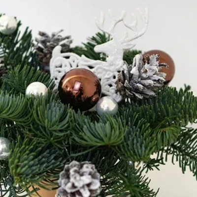 Композиция из еловых веток в стаканчике "Сказочный олень" N 90862