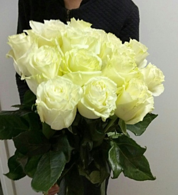 Букет из 15 белых роз Эквадор с крупным бутоном 60 см. 47178 Букет из 15 белых роз Эквадор с крупным бутоном 60 см. 47178