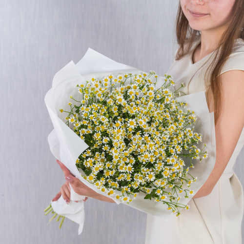 Круглый букет из ромашек танацетумов арт. 36303