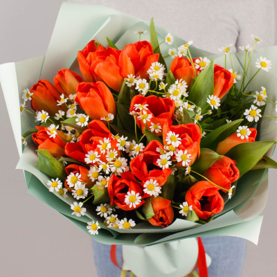 Букет из 19 алых тюльпанов с ромашками 46334 Букет из 19 алых тюльпанов с ромашками 46334