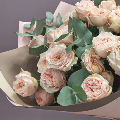 Букет из 9 кустовых пионовидных персиковых роз с эвкалиптом 45354-Перс Букет из 9 кустовых пионовидных персиковых роз с эвкалиптом 45354-Перс