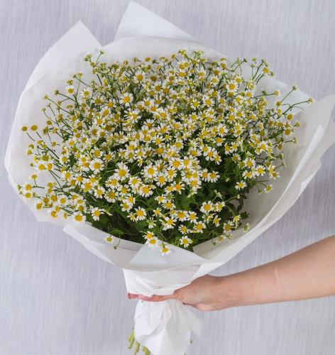 Круглый букет из ромашек танацетумов арт. 36303