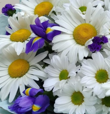 Букет из ромашек с ирисами "За облаками небо". N 36290 Букет из ромашек с ирисами "За облаками небо". N 36290