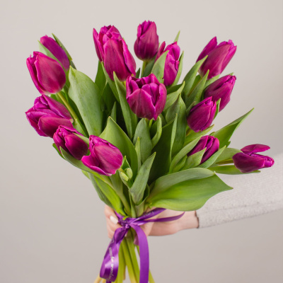 Букет из 15 малиновых тюльпанов 28774 Букет из 15 малиновых тюльпанов 28774
