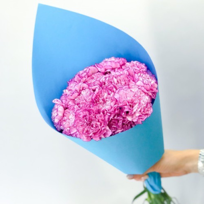 Букет из диантусов 47542 Букет из диантусов 47542