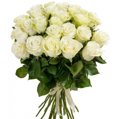 Букет из 25 Белых роз 60см 7304 Букет из 25 Белых роз 60см 7304