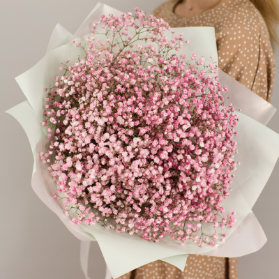Букет из розовых гипсофил N 50459 Букет из розовых гипсофил N 50459