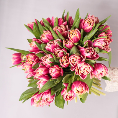 Букет из 51 пионовидного тюльпана Колумбус 46174 Букет из 51 пионовидного тюльпана Колумбус 46174