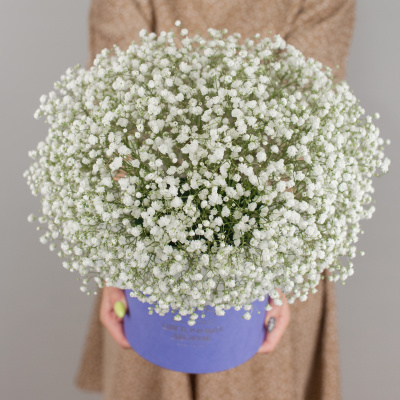 Коробка с гипсофилой белая N 50464 Коробка с гипсофилой белая N 50464