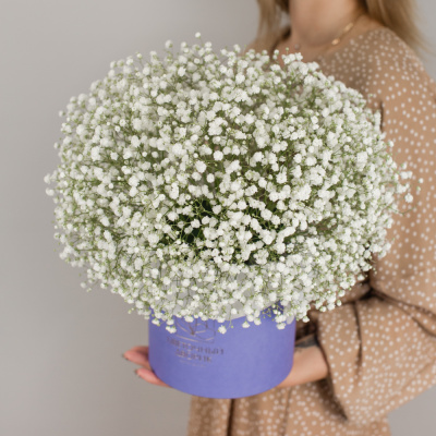 Коробка с гипсофилой белая N 50464 Коробка с гипсофилой белая N 50464