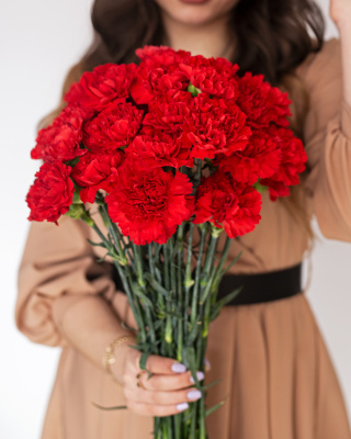 Гвоздика красная Гвоздика красная