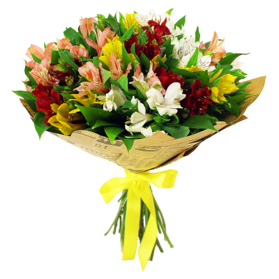 Букет из 25 Альстромерий 7321 Букет из 25 Альстромерий 7321