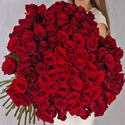 Роза красная Эквадор 60 см N 902 Роза красная Эквадор 60 см N 902