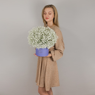 Коробка с гипсофилой белая N 50464 Коробка с гипсофилой белая N 50464