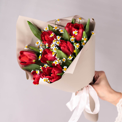 Небольшой букет из красных тюльпанов с ромашками 46336 Небольшой букет из красных тюльпанов с ромашками 46336