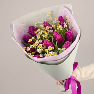 Букет из 11 фиолетовых тюльпанов с ромашками (танацетум) 46394 Букет из 11 фиолетовых тюльпанов с ромашками (танацетум) 46394