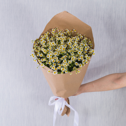 Букет из ромашек танацетумов в крафте арт. 36302